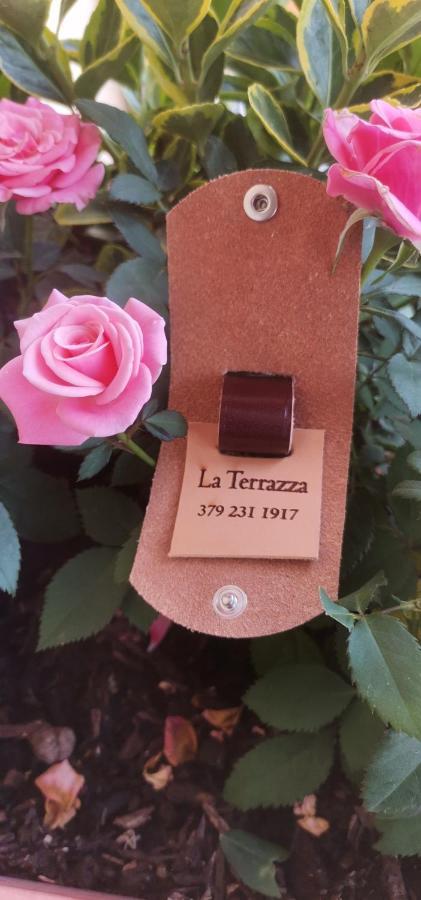 B&B La Terrazza Домодоссола Экстерьер фото